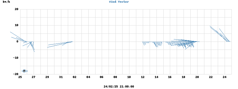 Wind Vector
